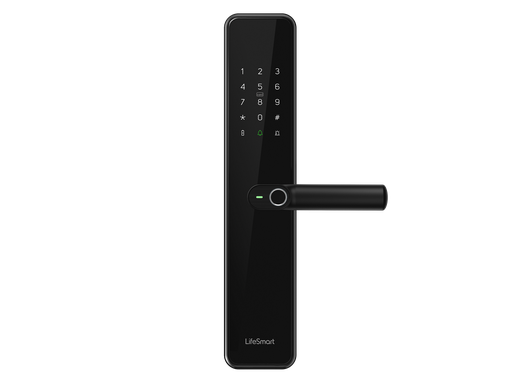 [C100]  Smart Door Lock C100(Black) 